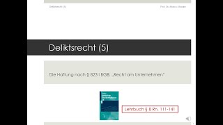 Gesetzliche Schuldverhältnisse  Deliktsrecht 5 [upl. by Mallin]