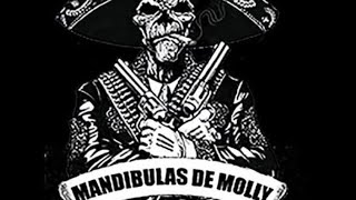 vo style “Mandíbulas De Molly” free roam fights [upl. by Zollie]