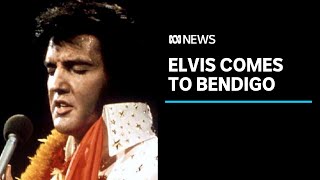 Elvis exhibit travels from Graceland to Bendigo  ABC News [upl. by Norrad]