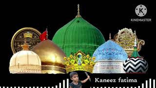 Kaneez Fatima [upl. by Idnas]