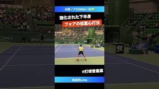 下半身の爆発力【兵庫ノアCH2024QF】島袋将JPN shorts テニス tennis [upl. by Antons]