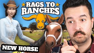 New horse joins the ranch Rags to Ranches Part 7 [upl. by Ashatan]