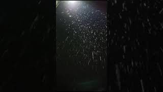 11 November 2024 Heavy snow fall at Drass kargil India🇮🇳🇮🇳🇮🇳 [upl. by Mcfarland501]