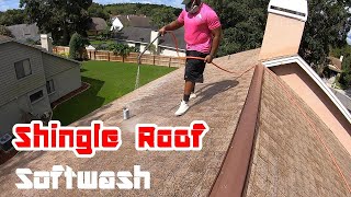 Shingle Roof Cleaning  2K Subscribers [upl. by Johen731]