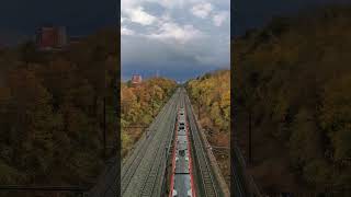 Autumn in Copenhagen  Carlsberg Bridge view [upl. by Autry]