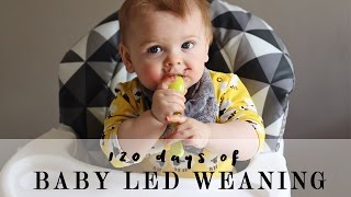 120 days of Baby Led Weaning [upl. by Atekihs]