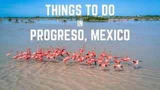 Things to do in Progreso Yucatan Mexico [upl. by Ennaeel]