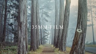 35MM FILM Photography in the Foggy Woods [upl. by Kendal]