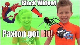 Paxton got bit by a BLACK WIDOW HE is SPIDERMAN [upl. by Burchett]