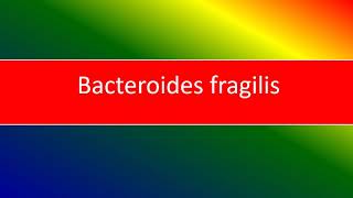 bacteroides fragilis [upl. by Esined476]