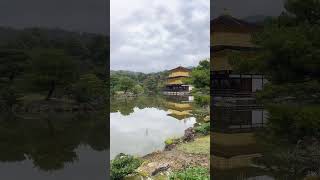 kyoto kinkakuji [upl. by Drannek965]