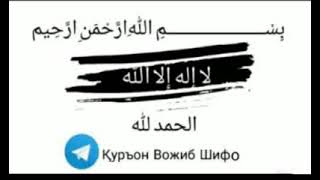 Тил хакида умумий тушунча Til haqida umumiy tushuncha [upl. by Lilaj]