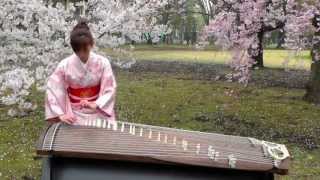 さくらSakura 25絃箏 25 strings koto [upl. by Dickerson]