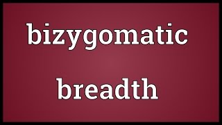 Bizygomatic breadth Meaning [upl. by Ahseiuqal21]