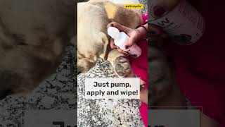 Paw Cleaner  Pet Grooming  Petroyale Grooming Products  Petroyale shortsviral dogs pets cat [upl. by Sethrida]