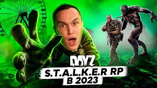 КТО ИГРАЕТ в DAYZ STALKER RP в 2023 ГОДУ глазами новичка [upl. by Sorkin440]