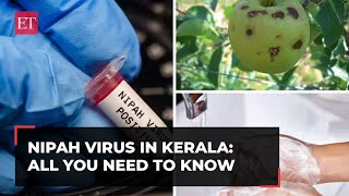 Nipah alert in Keralas Kozhikode Should you be worried  WION Originals [upl. by Anwahsar328]