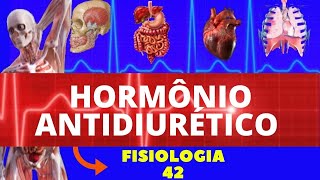 ADH  HORMÔNIO ANTIDIURÉTICO FISIOLOGIA HUMANA  FISIOLOGIA RENAL  FISIOLOGIA DE GUYTON [upl. by Busiek531]