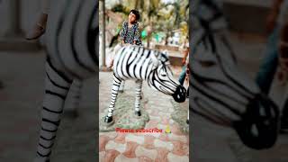 Zebra song funny bollywood love ytvideo shortsvideo  viral [upl. by Derrik]