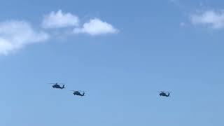 Three Army Sikorsky BlackHawks looped around Long Reef then back to Luscombe flightradar [upl. by Eneleahcim]