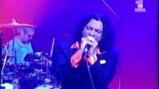 Inxs  Elegantly Wasted Live [upl. by Yorker]