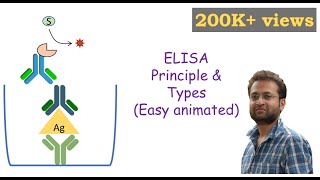 ELISA Enzymelinked Immunosorbent Assay [upl. by Nwahsor]