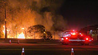 LAFD Multiple Vegetation Fires FS76 Cahuenga Pass 1112024 [upl. by Vullo961]