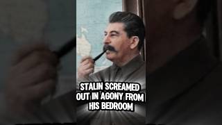 A Chilling Story About Stalin 😳 shorts [upl. by Aleusnoc]