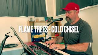 Flame Trees  Cold Chisel S Riley cover [upl. by Ettevahs]