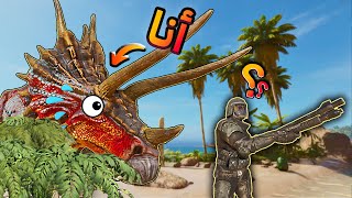 لعبنا حبشة في ارك Ark Hide amp Seek [upl. by Ahseuqal]