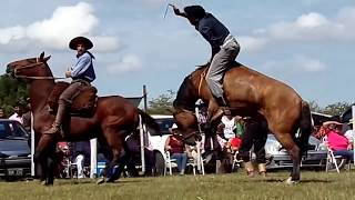 Jineteadas de Caballos Clina Limpia Fiesta Ternero Sauceño 2017 Canal Rural CamperoTv TvAgro Horses [upl. by Enirehtac]