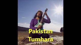 Salman Ahmad ft Peter Gabriel  Pakistan Humara Urdu Remix lyrics [upl. by Ayotaj]