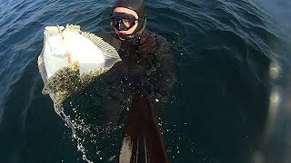 TURBOT SPEARFİSHİNG 2017 KALKAN BALIĞI AVI [upl. by Ailemrac]