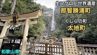 和歌山県の生マグロと世界遺産で有名な那智勝浦町とクジラの捕鯨で知られる太地町を観光します [upl. by Winna]