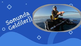 4 Mart Kuşadası belly boat avıbellyboat bellyboatfishing bellyboatbalıkavcılığıturkiyebellyboat [upl. by Hannus]