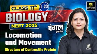 Class 11 Biology  Locomotion and Movement  NEET 2025  L23  Dr Ronak Maam [upl. by Eckardt]