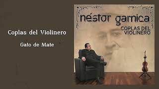 Néstor Garnica  Gato de Mate Coplas del Violinero [upl. by Nicolais]