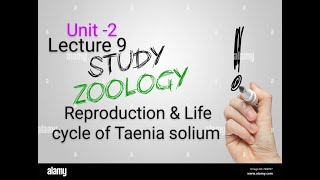 Reproduction amp life cycle of Taenia solium।BSc 5th semester।। Unit 2 Ctenophora to Nemathalminthes। [upl. by Eclud685]