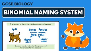 Binomial Naming System  GCSE Biology [upl. by Sonnie]