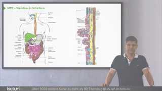 Histologie der Organsysteme  Dr med SteffenBoris Wirth bei Lecturio [upl. by Giselbert]