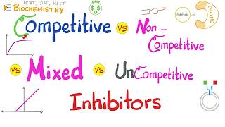 Competitive vs Noncompetitive vs Mixed vs Uncompetitive Inhibitors  Enzyme Kinetics Comparison [upl. by Pohsib]