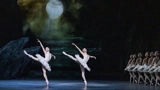 Insights The Royal Ballet in Rehearsal  Swan Lake [upl. by Enined]