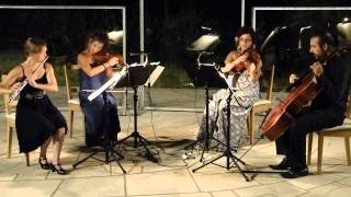 Mozart Flötenquartett D dur [upl. by Carolyne489]