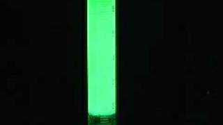 making a glowstick Chemical Luminescence [upl. by Ameen137]