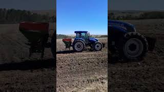 🚜 2024 Canola farming newholland traktor cow love gübre [upl. by Enilaf]