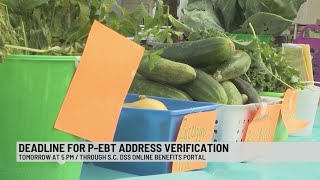 Deadline for SC families to verify mailing addresses for pandemicEBT benefits is Thursday [upl. by Frost306]