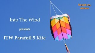 Into The Wind Parafoil 5 Kite [upl. by Adelaida]