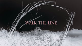 Frank Iero  Walk the Line [upl. by Hale]