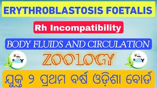 ERYTHROBLASTOSIS FOETALIS  Body Fluids and Circulation  biologytherapy chse neet 11th 12th [upl. by Bashuk]