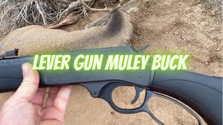 Colorado Mule Deer With a Lever Action 3030  bonus elk hunt [upl. by Droflim]